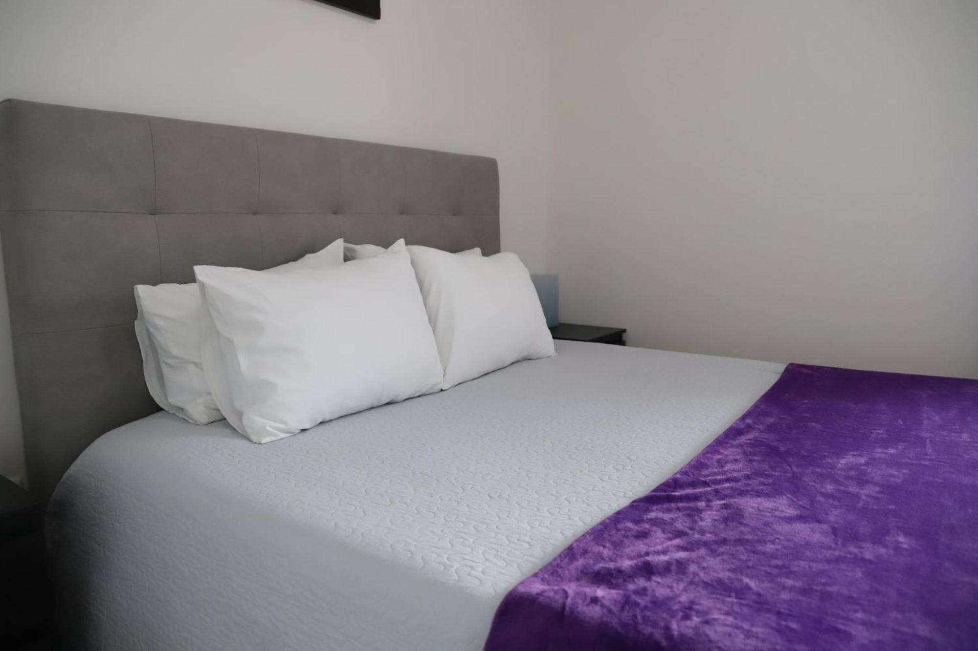 Casa Vale Do Douro Bed & Breakfast Mesao Frio Ngoại thất bức ảnh