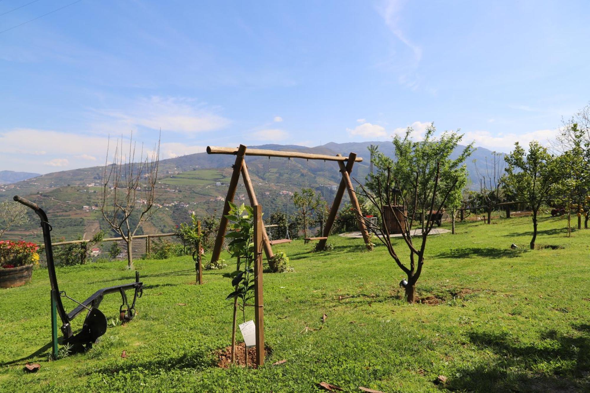 Casa Vale Do Douro Bed & Breakfast Mesao Frio Ngoại thất bức ảnh