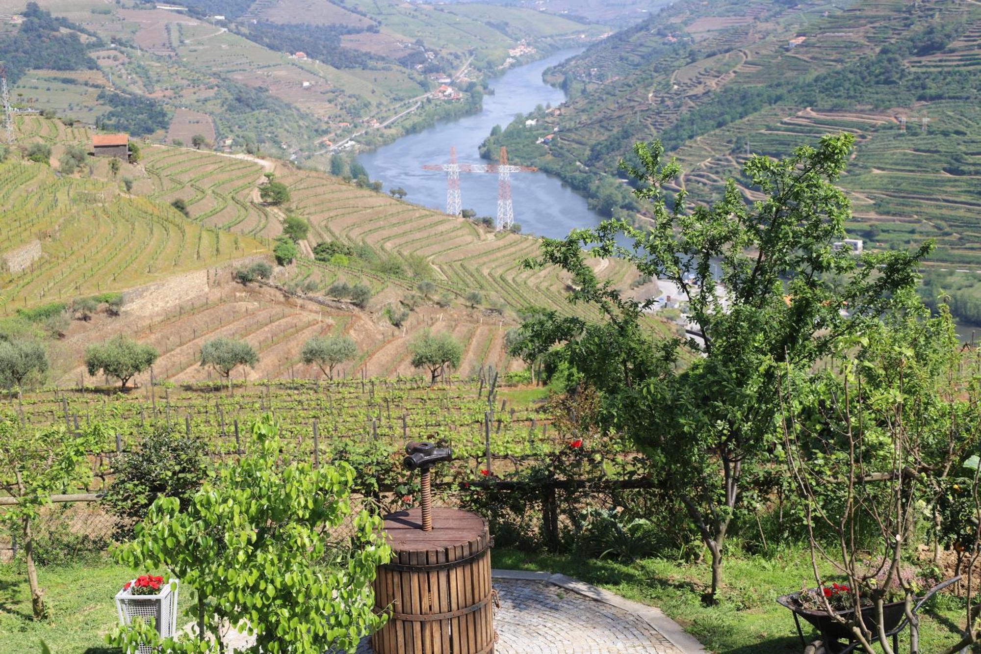 Casa Vale Do Douro Bed & Breakfast Mesao Frio Ngoại thất bức ảnh
